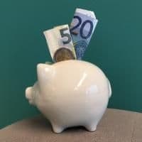 spaarvarken met geld erin